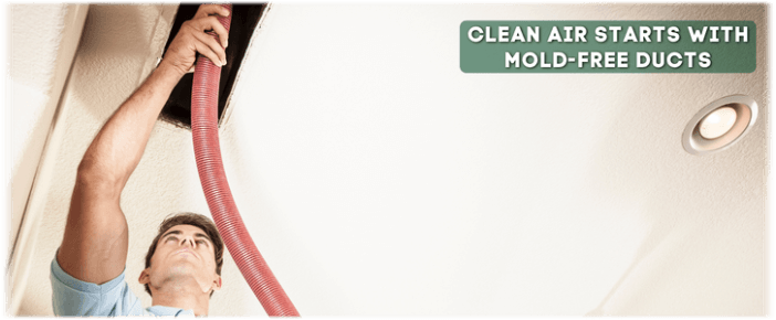 Air Duct Mold Removal in Schaumburg