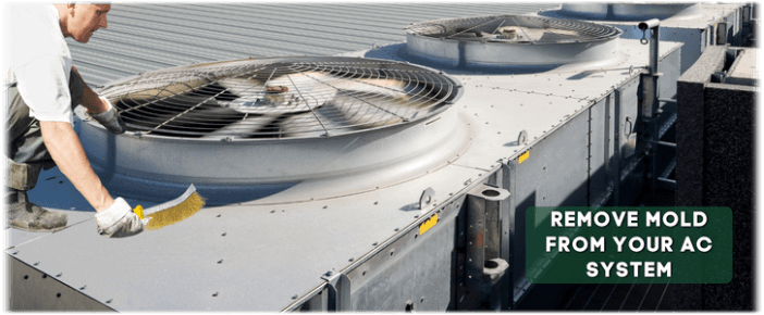HVAC Mold Removal Schaumburg